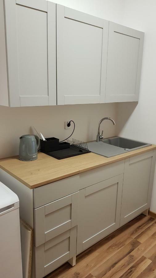 Apartament Nr 15 - 2 Pokoje Z Prywatnymi Lazienkami Centrum Познань Екстер'єр фото